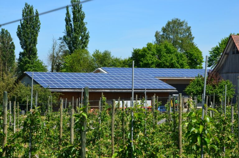 100 Chancen + Perspektiven 19 Querbild, Photovoltaik, Solardach, grüner Garten Selbstversorgers mit Obst, Gemüse aus eigener Landwirtschaft Permakultur und elektrischer Energie, autonom, autark, autonom-autark