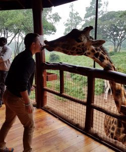 Hager, Jakob, Safari mit Giraffe