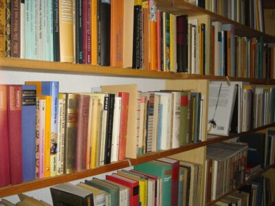 Regal Deutsche Bücher, Ratgeber Krisenbuch, Ratgeber, Bücher, Deutsch in einem Regal willkürlich und durcheinander ohne Sortierung, Krisen-Bücher, Chancen, Apotheke, Selbstversorger